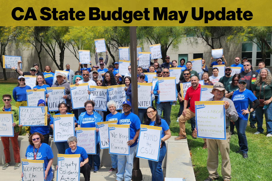 CA State Budget web.png